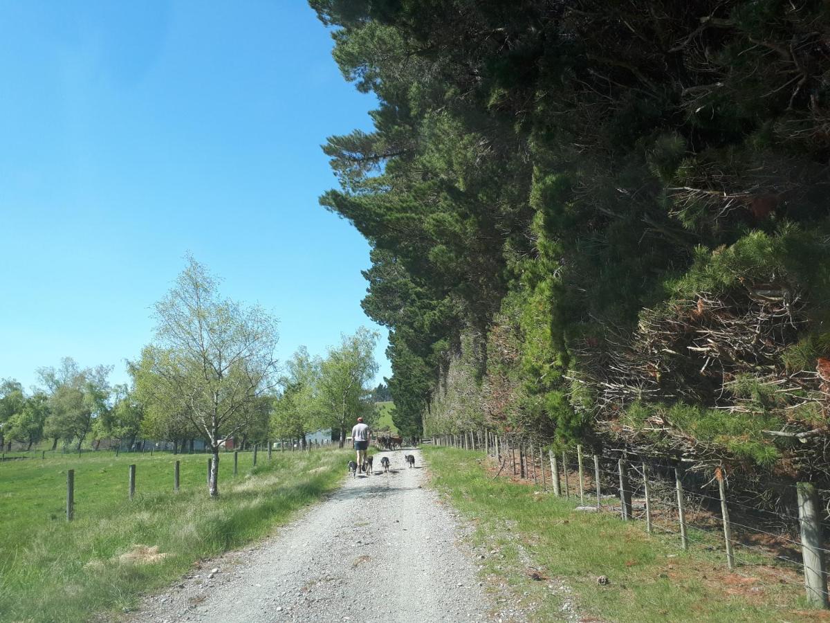 Te Anau Farm Cottage Exterior foto